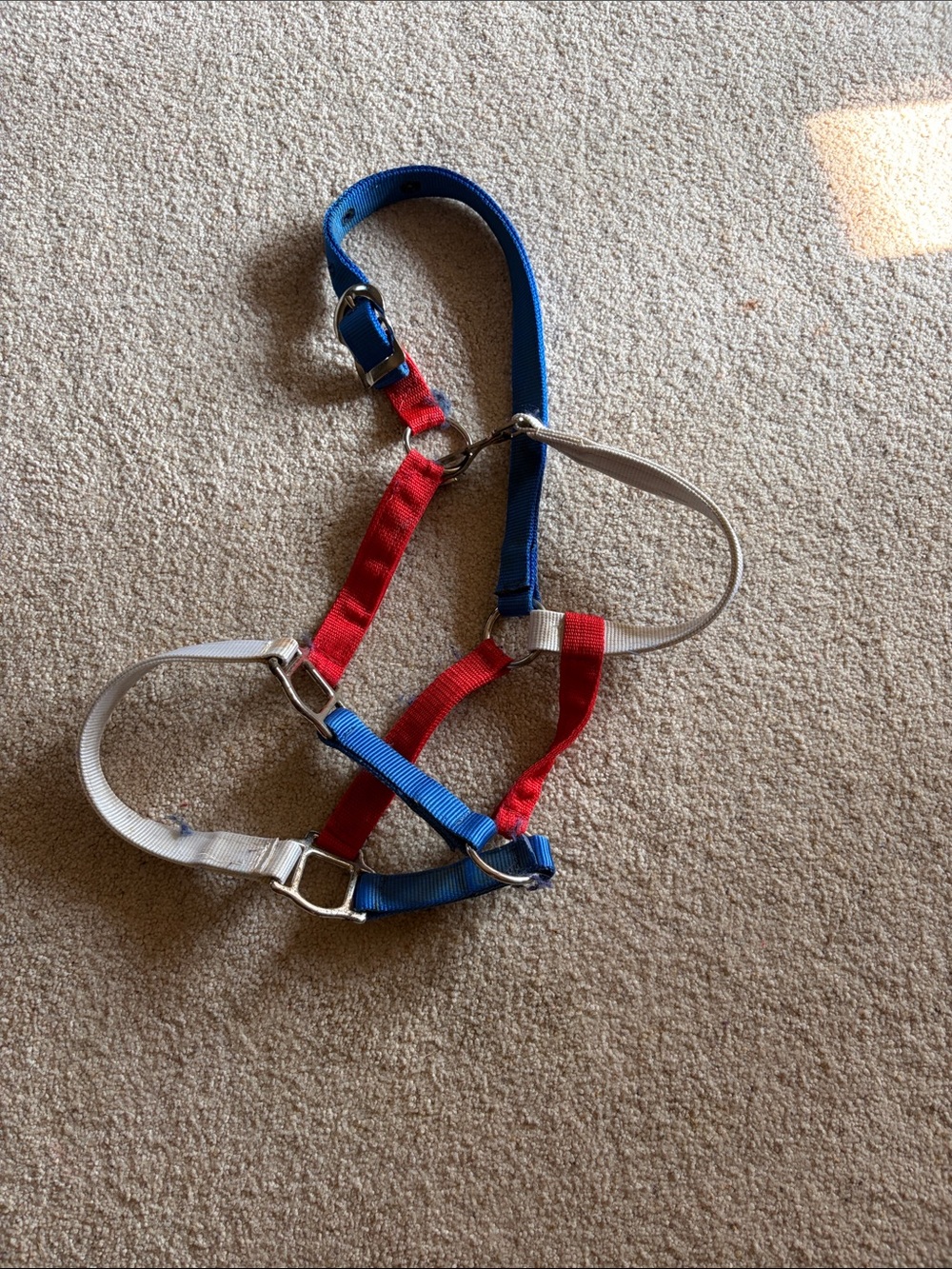 Red, Blue & White horse size halter. Patriotic